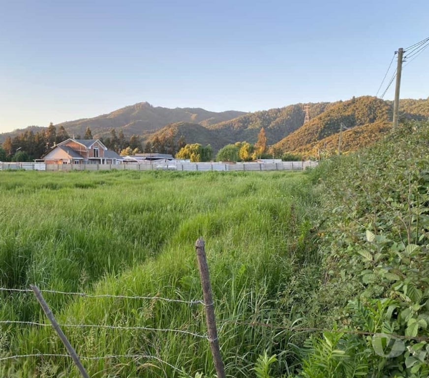 Parcelas en Venta Curicó Curicó - Fotos de Venta Parcela Curicó Maule