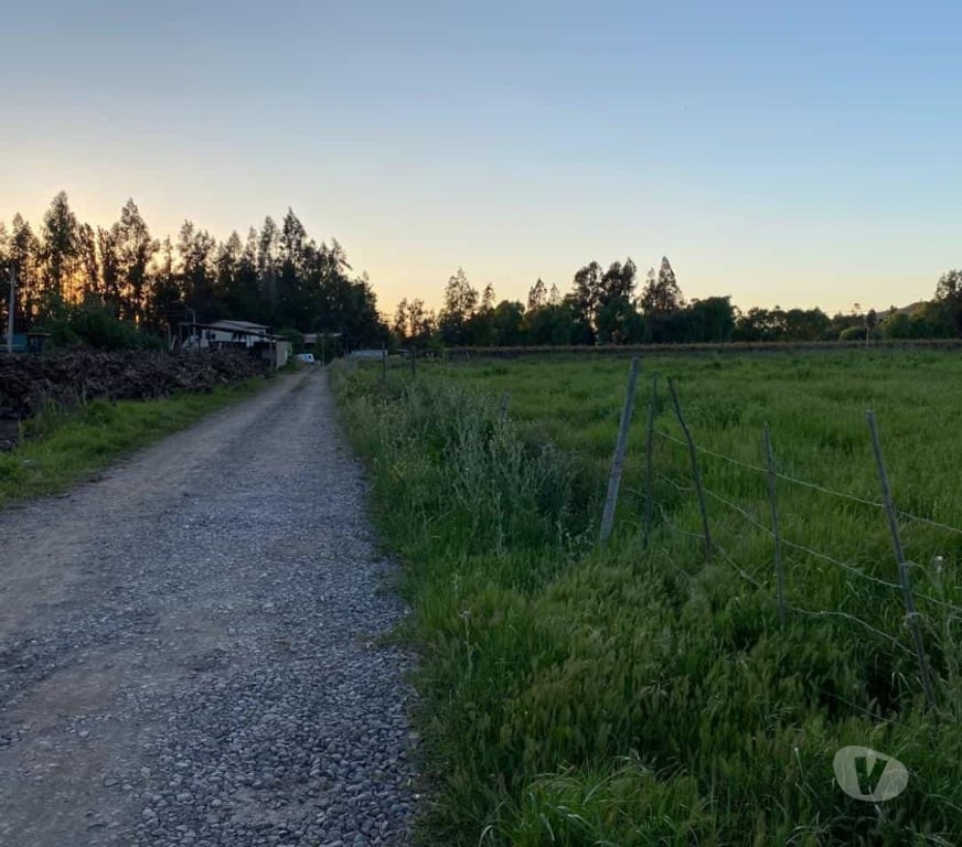 Parcelas en Venta Curicó Curicó - Fotos de Venta Parcela Curicó Maule