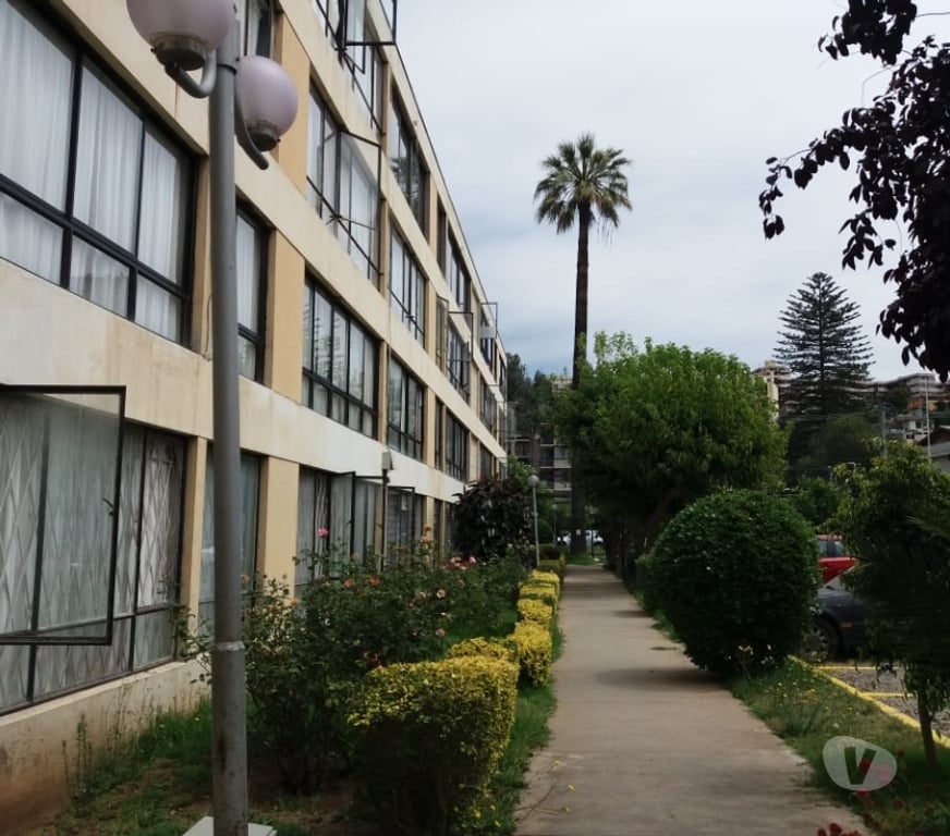 Arriendos Vacaciones Valparaíso Viña del Mar - Fotos de VIÑA DEL MAR: DEPARTAMENTO AMPLIO Y CDENTRAL. ESTACIONAM.