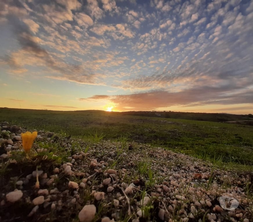Parcelas en Venta Cardenal Caro Navidad - Fotos de Terrenos a minutos de Matanza y Pupuya
