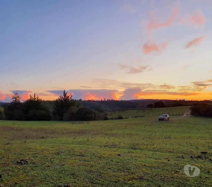 Parcelas en Venta Cardenal Caro Navidad - Fotos de Terrenos a minutos de Matanza y Pupuya