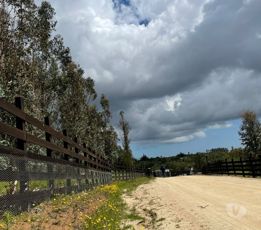 Parcelas en Venta Cardenal Caro Navidad - Fotos de Terrenos a minutos de Matanza y Pupuya