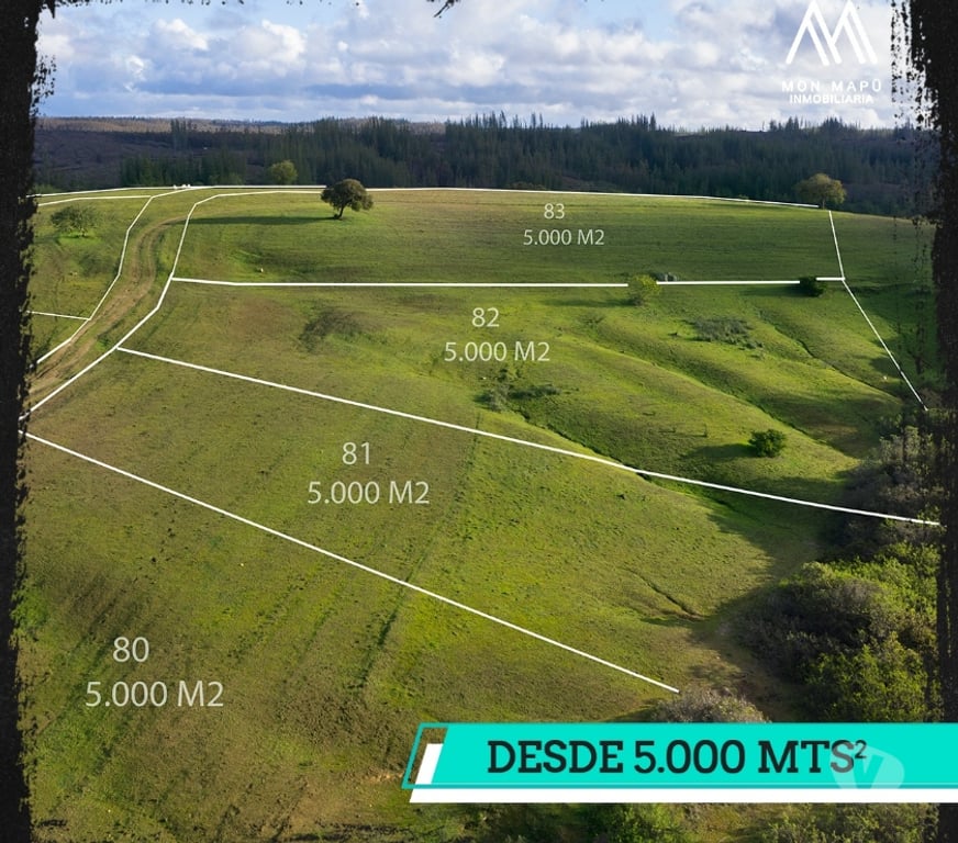 Parcelas en Venta Cardenal Caro Navidad - Fotos de Terrenos a minutos de Matanza y Pupuya