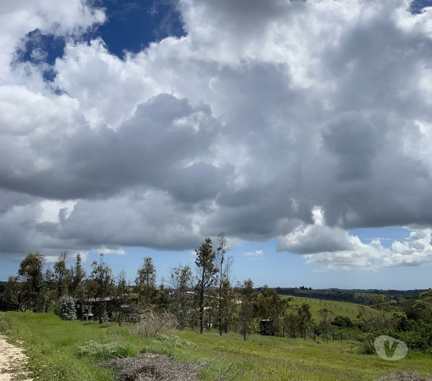 Parcelas en Venta Cardenal Caro Navidad - Fotos de Terrenos a minutos de Matanza y Pupuya