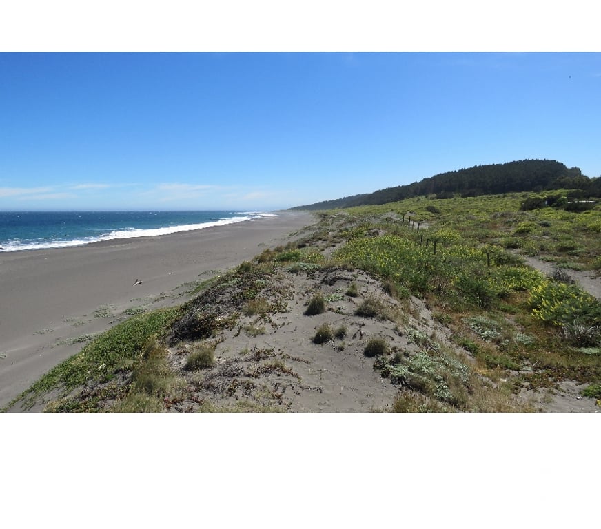 Parcelas en Venta Cauquenes Pelluhue - Fotos de LA SIRENA FRENTE AL MAR