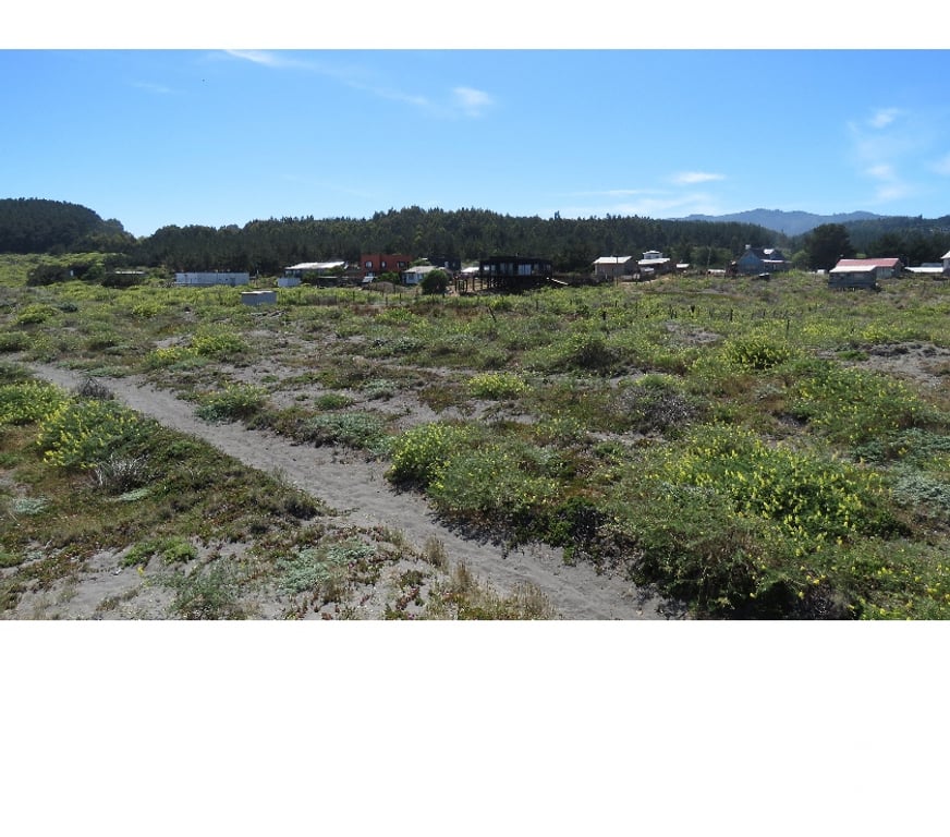 Parcelas en Venta Cauquenes Pelluhue - Fotos de LA SIRENA FRENTE AL MAR