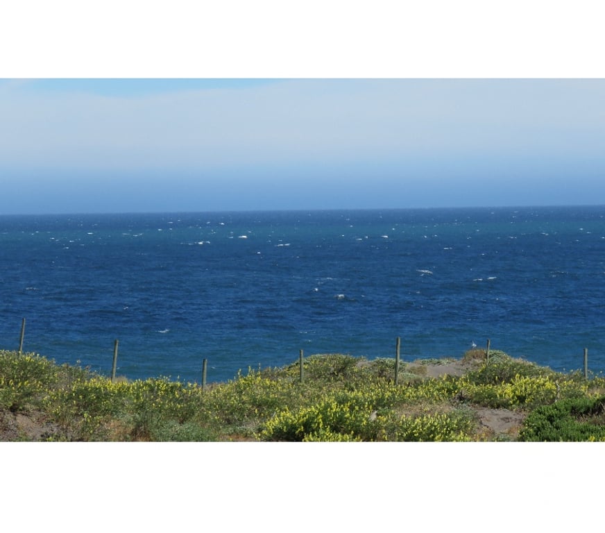 Parcelas en Venta Cauquenes Pelluhue - Fotos de LA SIRENA FRENTE AL MAR