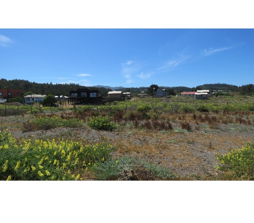 Parcelas en Venta Cauquenes Pelluhue - Fotos de LA SIRENA FRENTE AL MAR