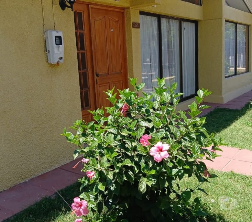 Bienes Raices San Felipe de Aconcagua San Felipe - Fotos de EXCELENTE CASA SOLIDA 3D 2B PISCINA VENTA DIRECTA SAN FELIPE