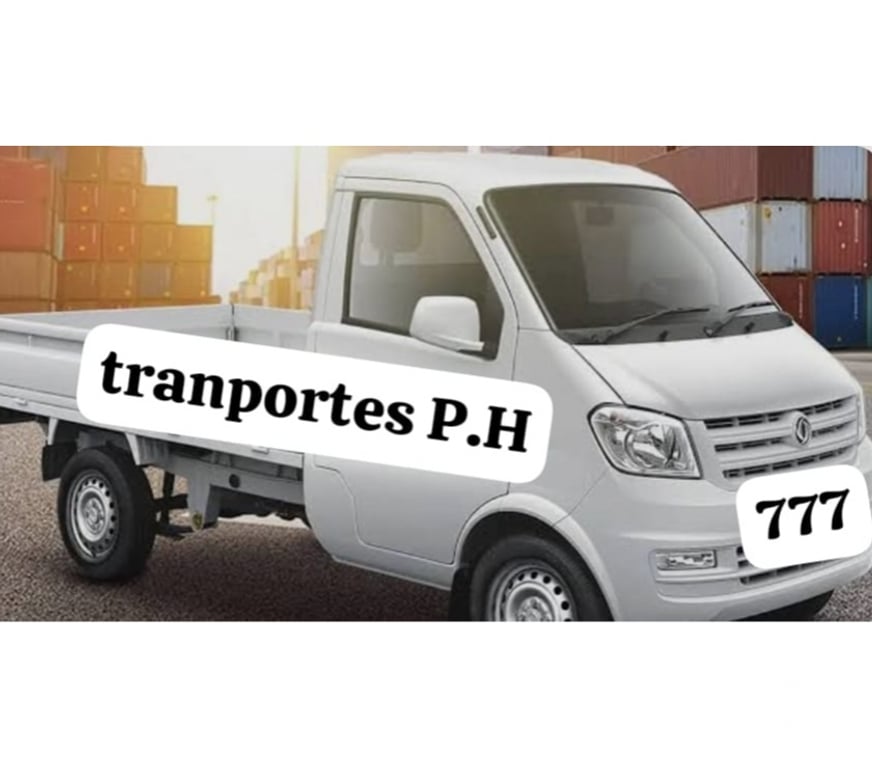 Fletes y Mudanzas - Transportes Santiago San Miguel - Fotos de fletes y retiros de esconbros p.h