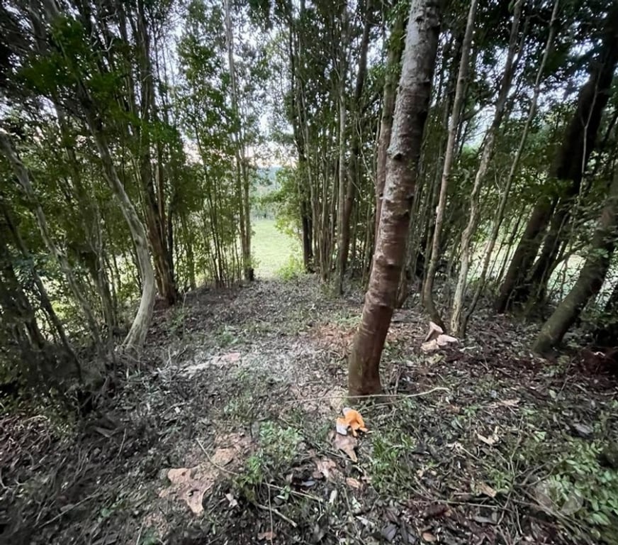 Venta de Haciendas Chiloé Ancud - Fotos de Hermosa parcela de agrado 1,26ha Ancud, Cogomó – Chiloe