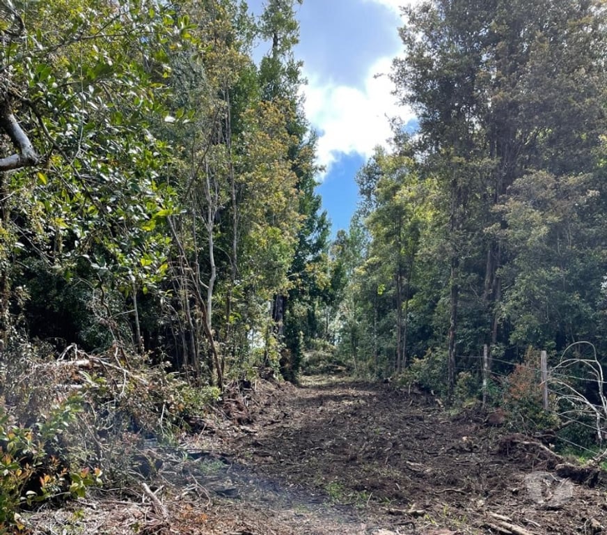 Venta de Haciendas Chiloé Ancud - Fotos de Hermosa parcela de agrado 1,26ha Ancud, Cogomó – Chiloe