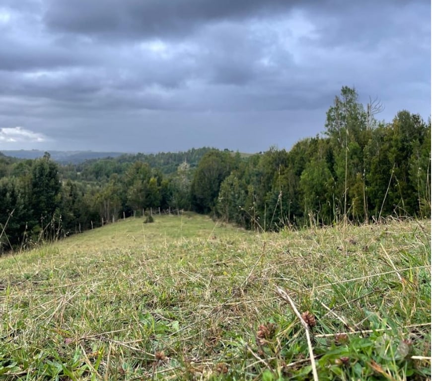 Venta de Haciendas Chiloé Ancud - Fotos de Hermosa parcela de agrado 1,26ha Ancud, Cogomó – Chiloe