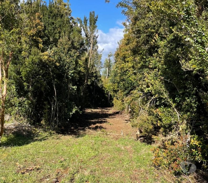Venta de Haciendas Chiloé Ancud - Fotos de Hermosa parcela de agrado 1,26ha Ancud, Cogomó – Chiloe