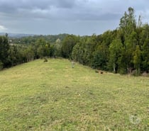Hermosa parcela de agrado 1,26ha Ancud, Cogomó – Chiloe