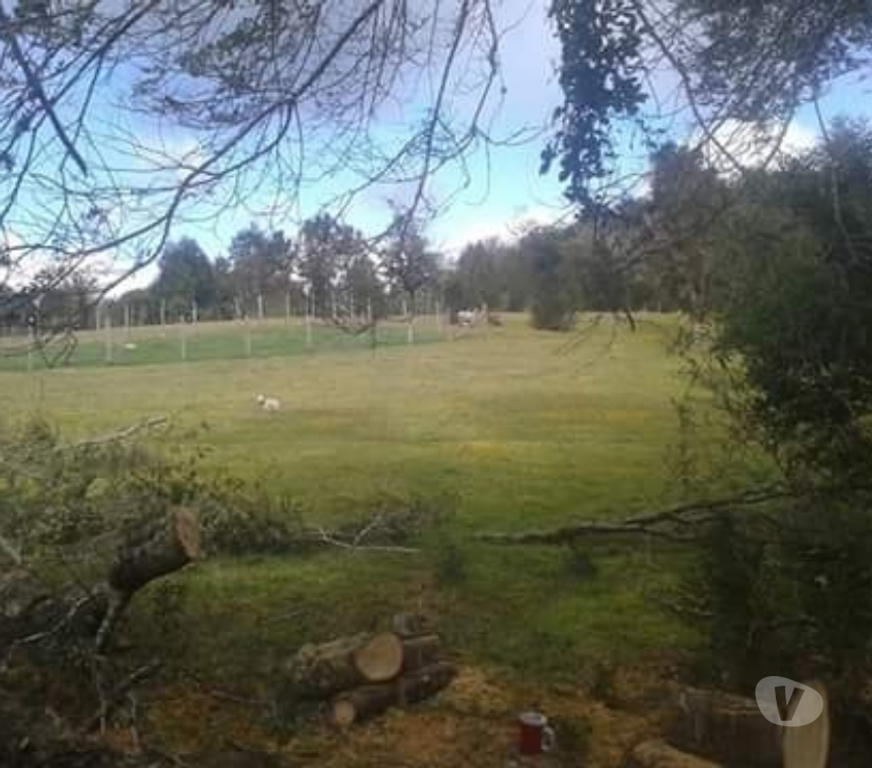 Bienes Raices Chiloé Puqueldón - Fotos de Terreno 7.400 M2 En Isla Lemuy Con Casa Y Bosque