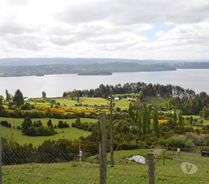 Bienes Raices Chiloé Puqueldón - Fotos de Terreno 7.400 M2 En Isla Lemuy Con Casa Y Bosque