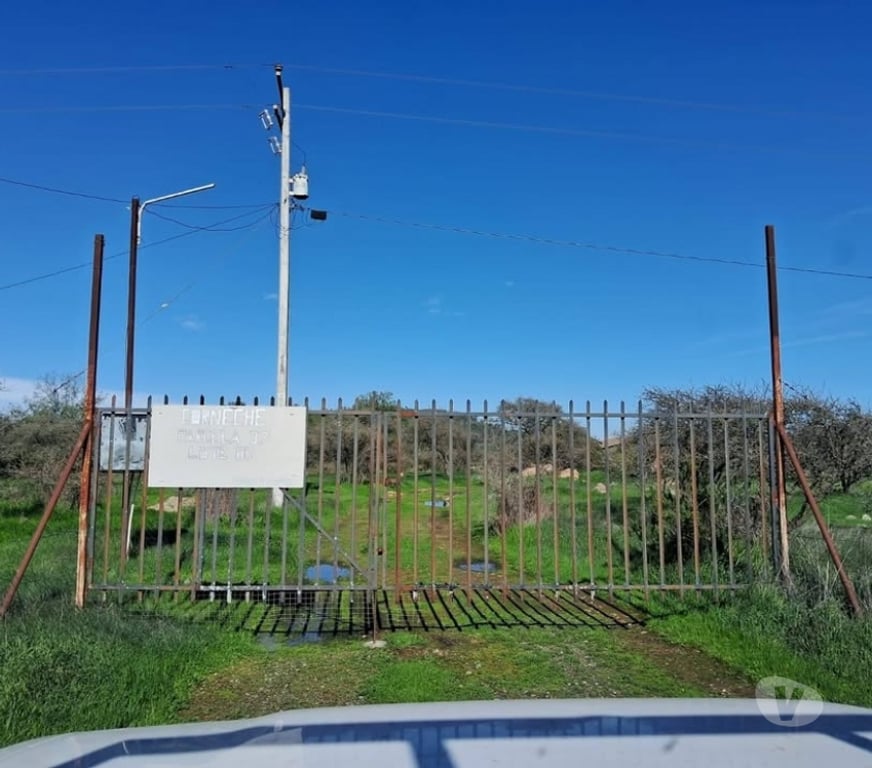 Parcelas en Venta Melipilla Melipilla - Fotos de PARCELA AGRICOLA 7 HECTAREAS CASA SAN PEDRO DE MELIPILLA!