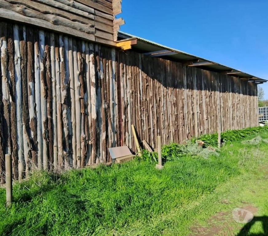 Parcelas en Venta Melipilla Melipilla - Fotos de PARCELA AGRICOLA 7 HECTAREAS CASA SAN PEDRO DE MELIPILLA!