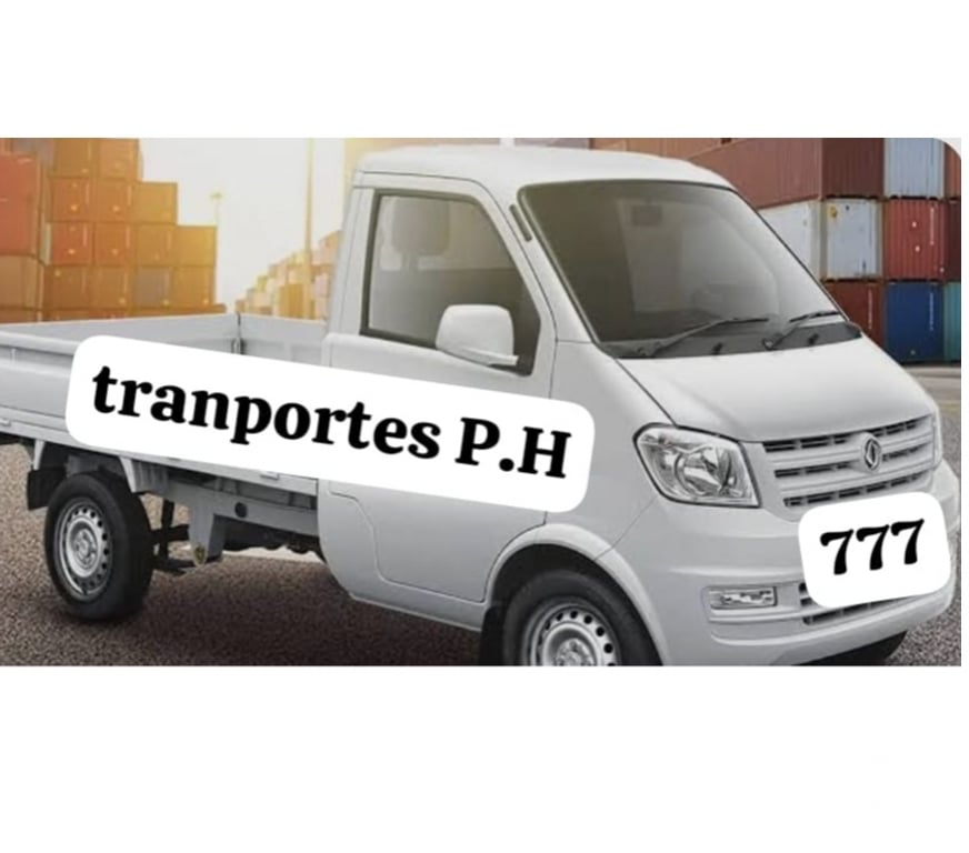 Fletes y Mudanzas - Transportes Santiago Huechuraba - Fotos de retiro de escombros p.h