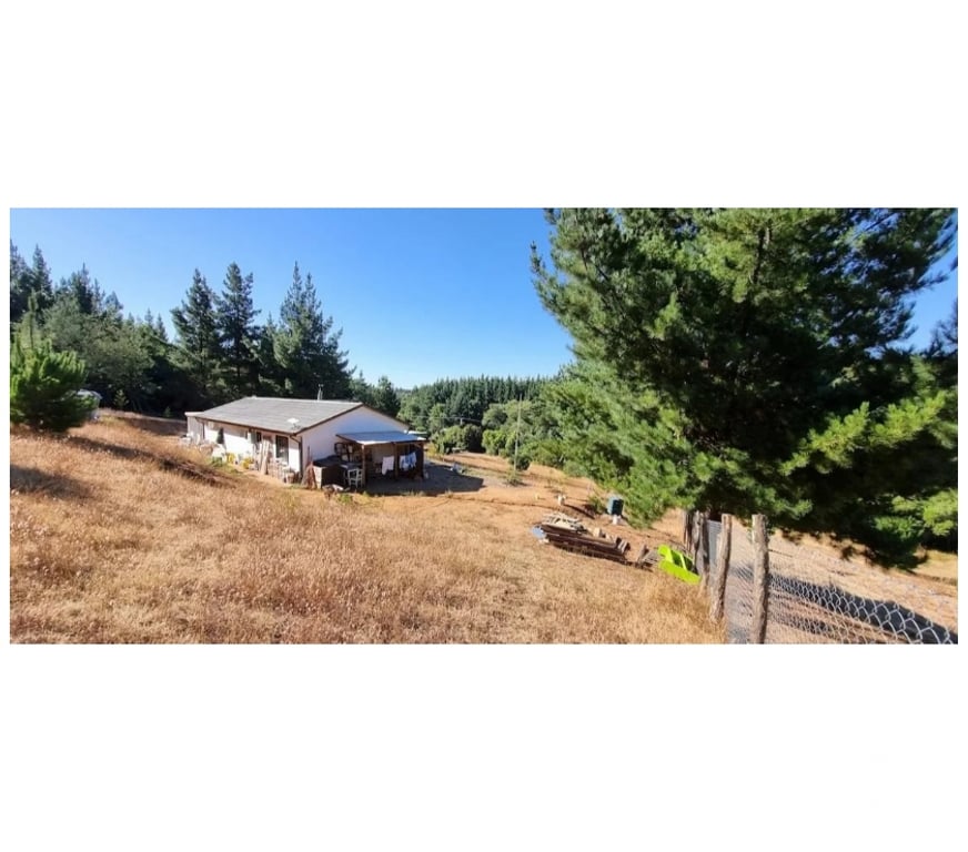 Parcelas en Venta Bío-Bío Yumbel - Fotos de Parcela Con Casa Sector Cancha Los Monteros