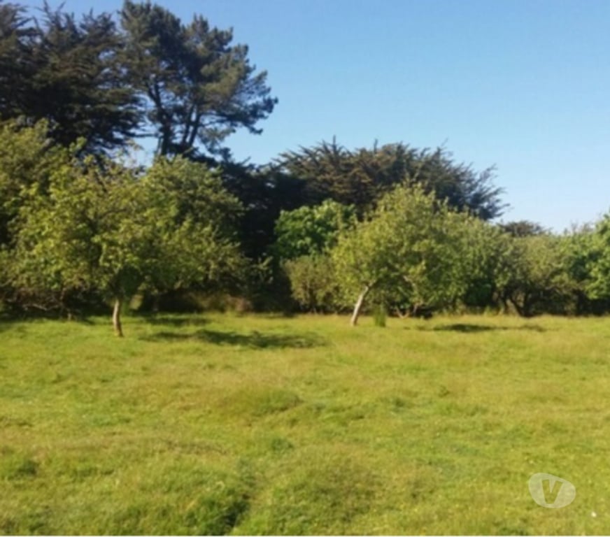 Parcelas en Venta Chiloé Ancud - Fotos de En Ancud, Vende Terreno de 2 hectáreas, con 2 Casas.