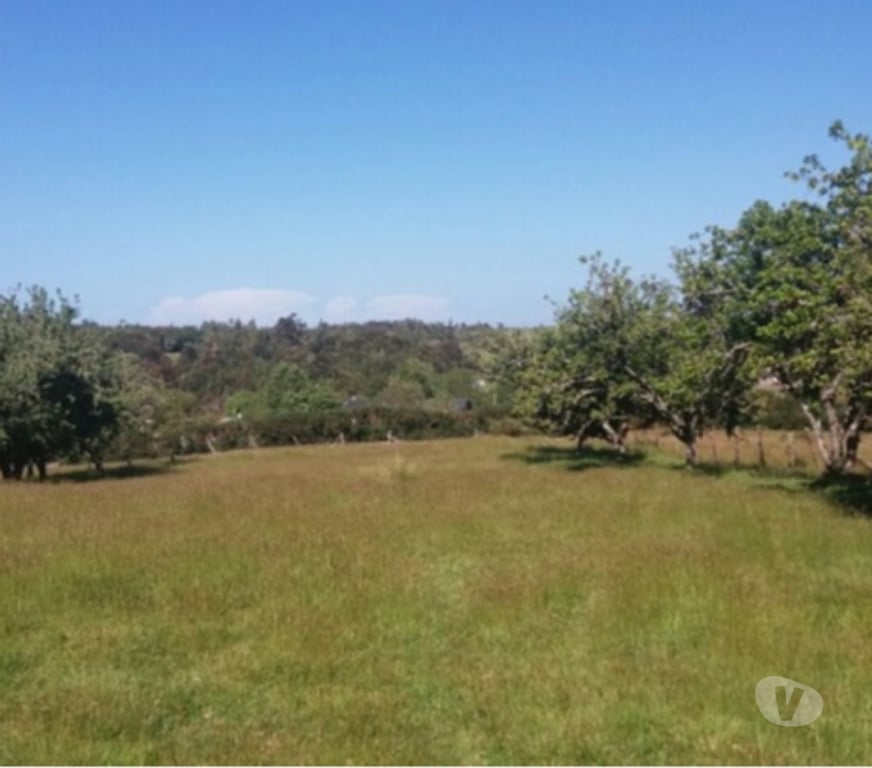 Parcelas en Venta Chiloé Ancud - Fotos de En Ancud, Vende Terreno de 2 hectáreas, con 2 Casas.