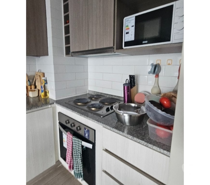 Arriendos Concepción Concepción - Fotos de Arriendo Departamento Mariposa Amoblado