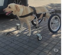 FABRICACIÓN DE CARRITOS A MEDIDAS PARA PERROS INVÁLIDOS