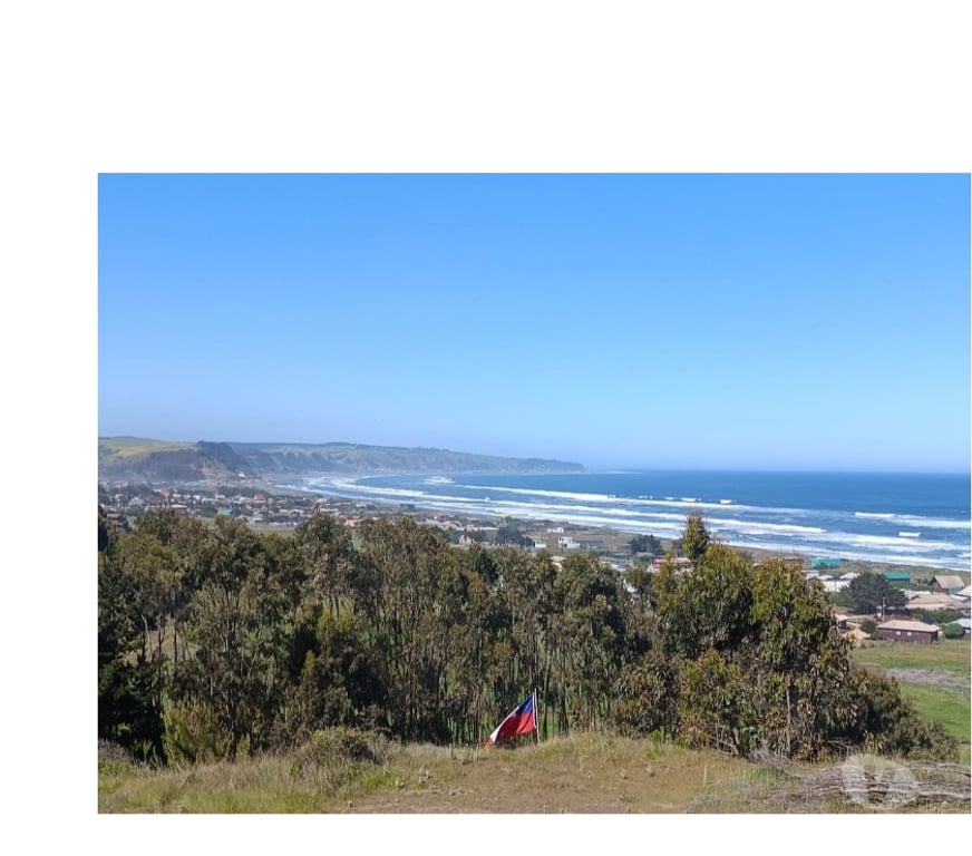 Parcelas en Venta Curicó Vichuquén - Fotos de HERMOSA PARCELA VISTA AL MAR LIPIMAVIDA