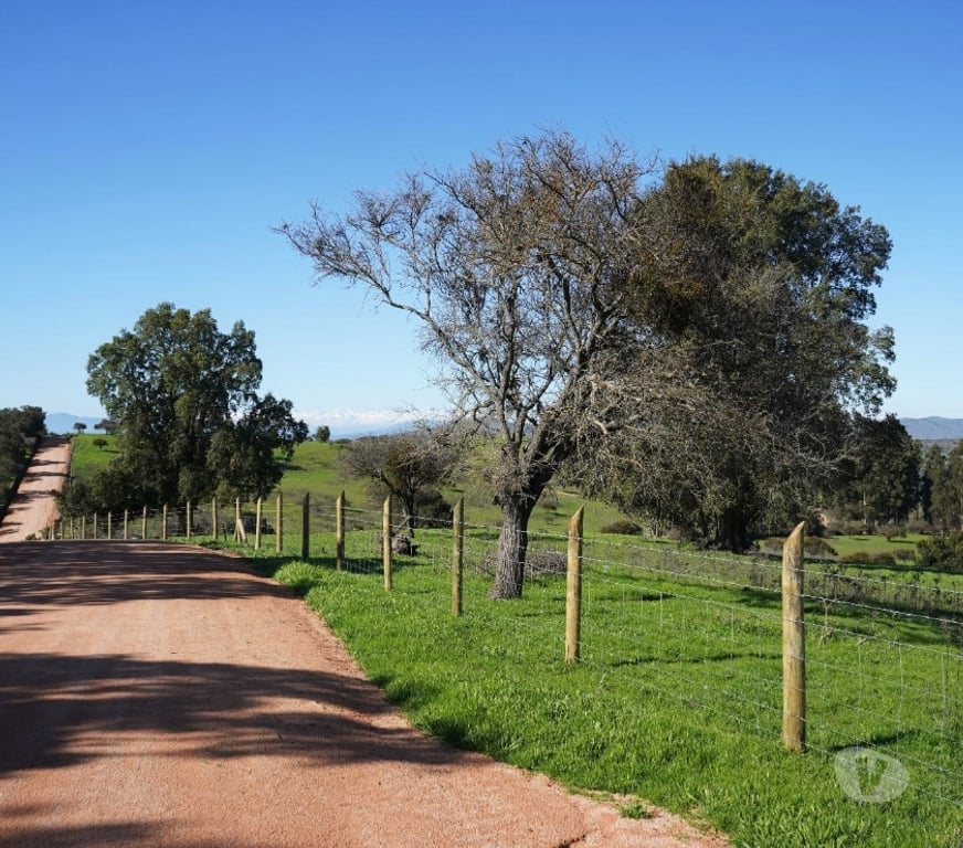 Parcelas en Venta Cardenal Caro La Estrella - Fotos de Parcelas con acceso al tranque, a 2hrs de Santiago