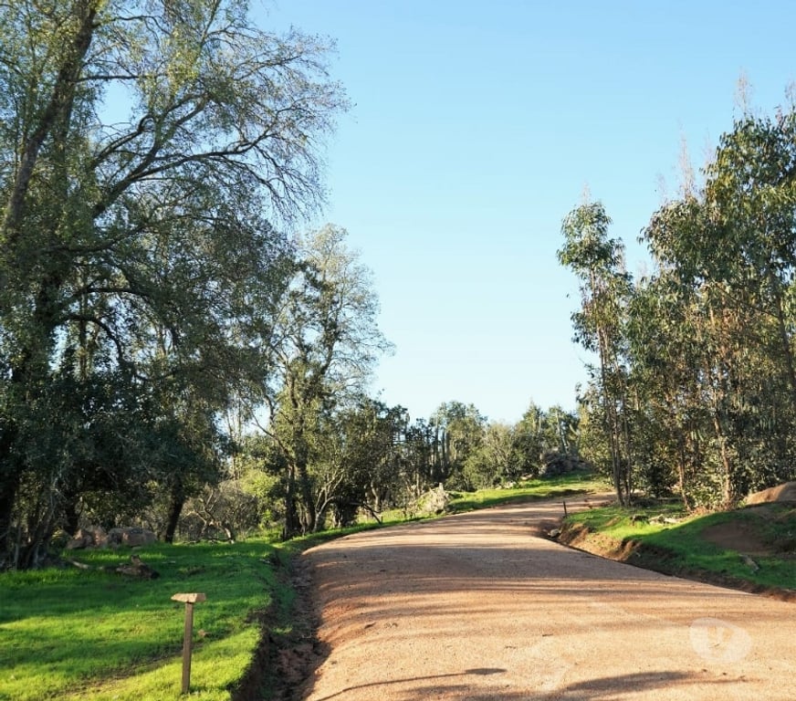Parcelas en Venta Cardenal Caro La Estrella - Fotos de Parcelas con acceso al tranque, a 2hrs de Santiago