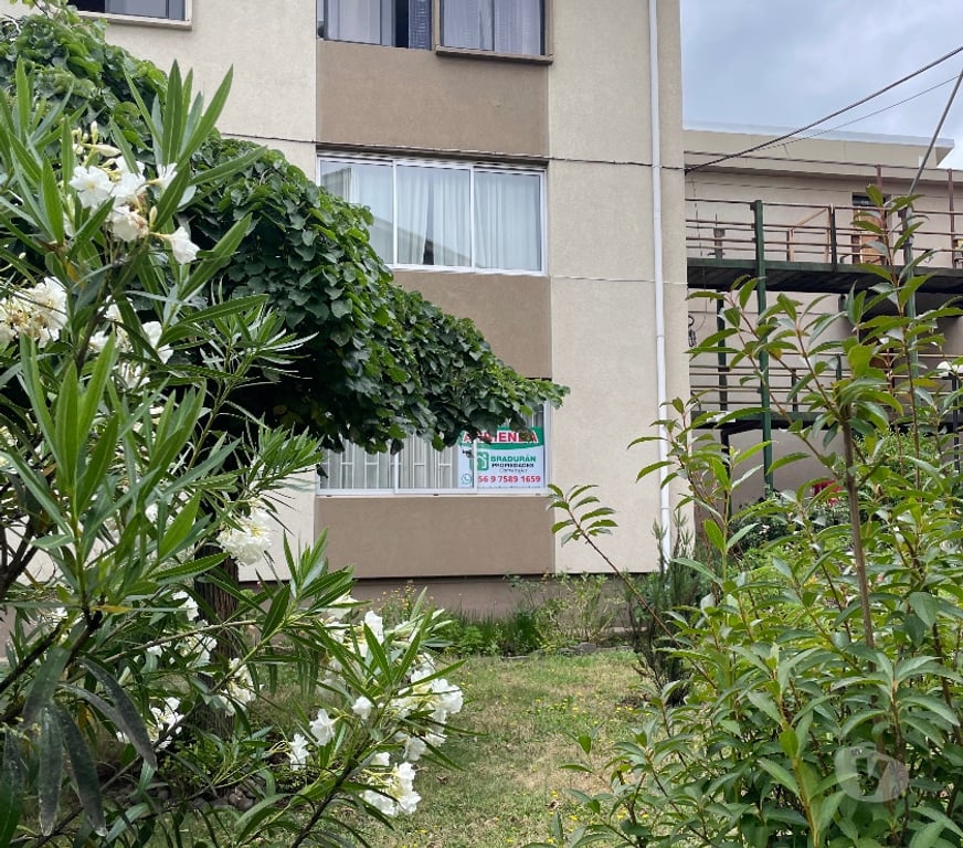 Bienes Raices Bío-Bío Los Ángeles - Fotos de VENDO AMPLIO DEPARTAMENTO RECINTO PEDRO LAGOS LOS ANGELES