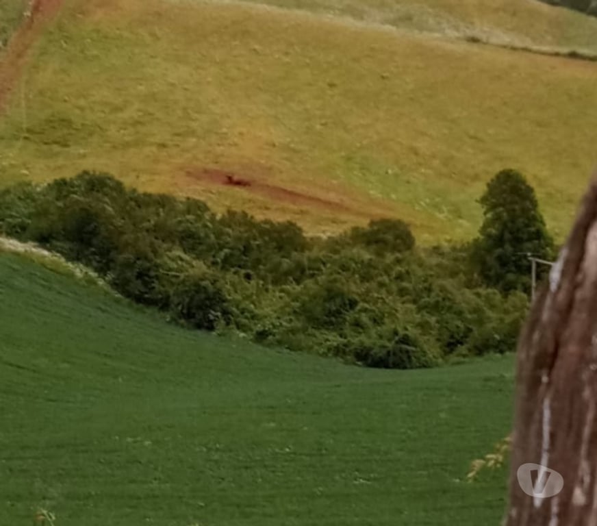 Venta de Haciendas Santiago Santiago - Fotos de Se vende campo chileno