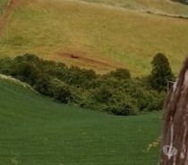 Se vende campo chileno