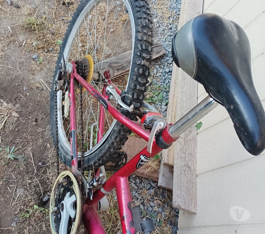 Ropa - Articulos Deportivos Bío-Bío Laja - Fotos de bicicleta dama Bianchi