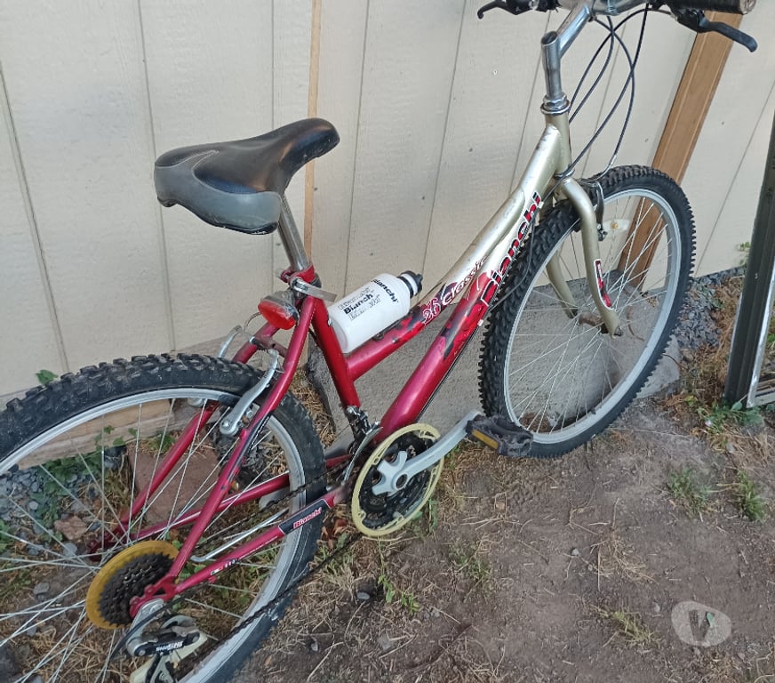 Ropa - Articulos Deportivos Bío-Bío Laja - Fotos de bicicleta dama Bianchi