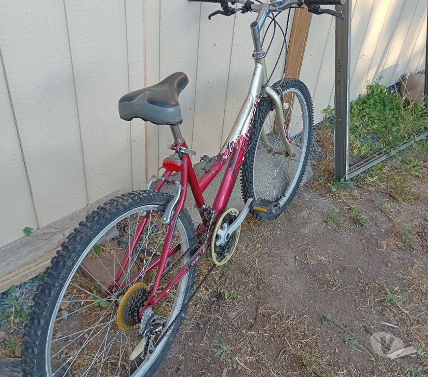 Ropa - Articulos Deportivos Bío-Bío Laja - Fotos de bicicleta dama Bianchi