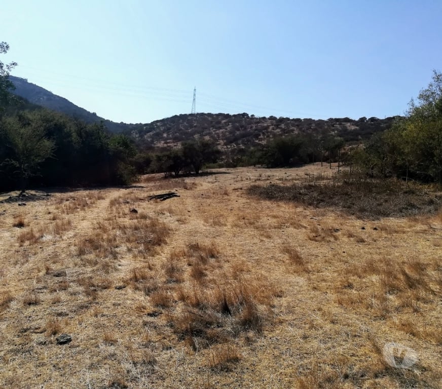 Parcelas en Venta Quillota Limache - Fotos de PARCELA CAMINO LOS LAURELES, LIMACHE