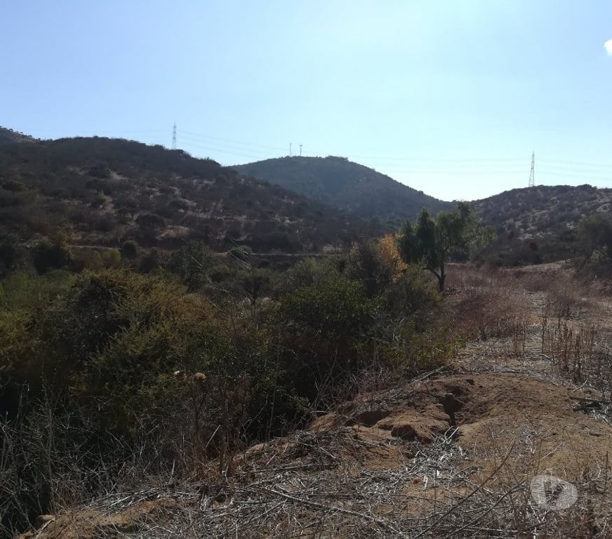 Parcelas en Venta Quillota Limache - Fotos de PARCELA CAMINO LOS LAURELES, LIMACHE