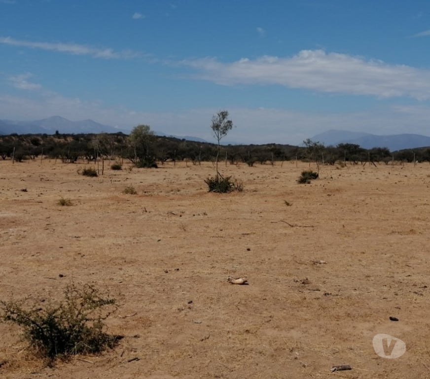 Parcelas en Venta Quillota Limache - Fotos de PARCELA PLANA SECTOR LOS BORRISQUEROS LIMACHE.