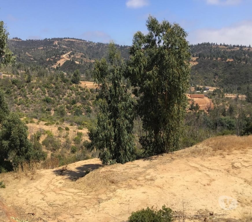 Parcelas en Venta Quillota Limache - Fotos de PARCELA CON CASA ESTILO MEDITERRANEA LIMACHE