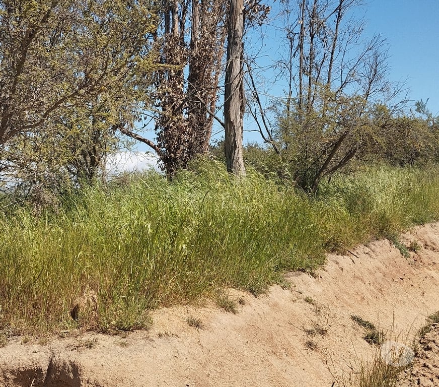 Parcelas en Venta Quillota Limache - Fotos de PARCELA EN CAJON DEL LEBU LIMACHE