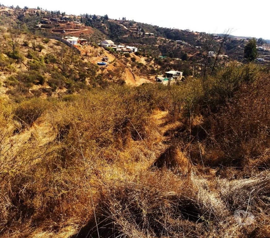 Parcelas en Venta Quillota Limache - Fotos de PARCELA FUNDO EL LEBU PEÑABLANCA
