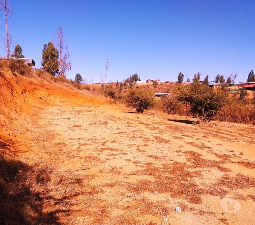 Parcelas en Venta Quillota Limache - Fotos de PARCELA FUNDO EL LEBU PEÑABLANCA