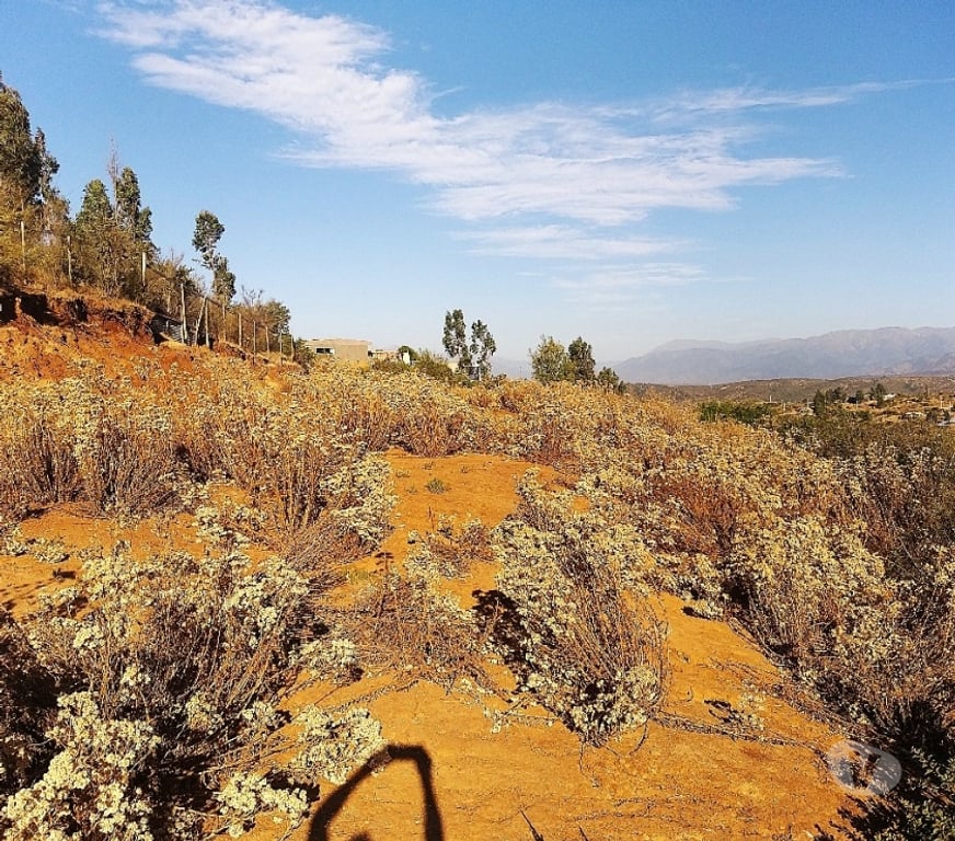 Parcelas en Venta Quillota Limache - Fotos de PARCELA 5000 MT2 FUNDO EL LEBU