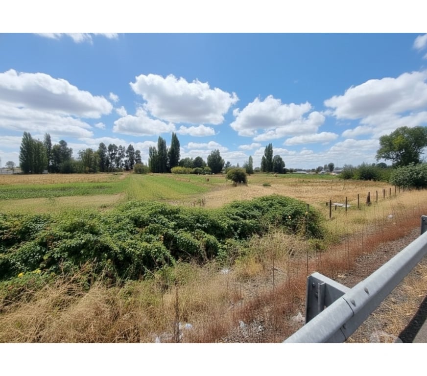 Parcelas en Venta Ñuble Chillán Viejo - Fotos de Terreno 5.7 Ha Orilla Ruta 5 Sur. Chillán. Excelente Precio