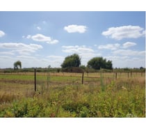 Fotos de Terreno 5.7 Ha Orilla Ruta 5 Sur. Chillán. Excelente Precio