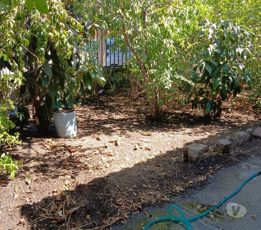 Bienes Raices San Felipe de Aconcagua Putaendo - Fotos de PUTAENDO VENDO CASA 2D 1B V. SAN ANTONIO EN $ 250 MILMENSUAL