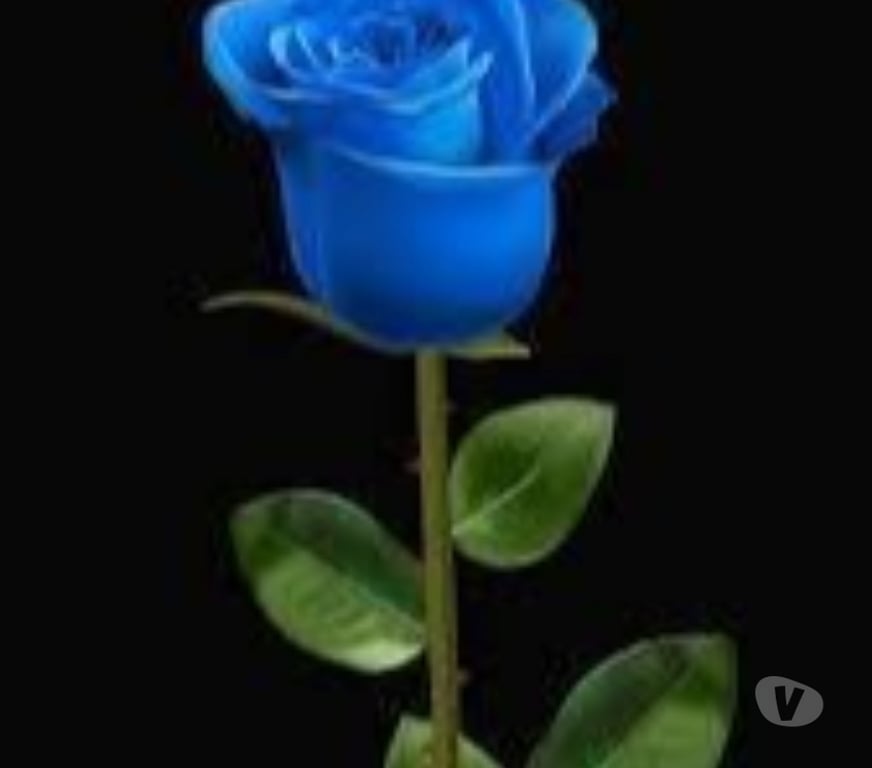 Encuentros Sexuales Cordillera Puente Alto - Fotos de Amiguita y más... Algo real... Lea x favor antes de juzgar!